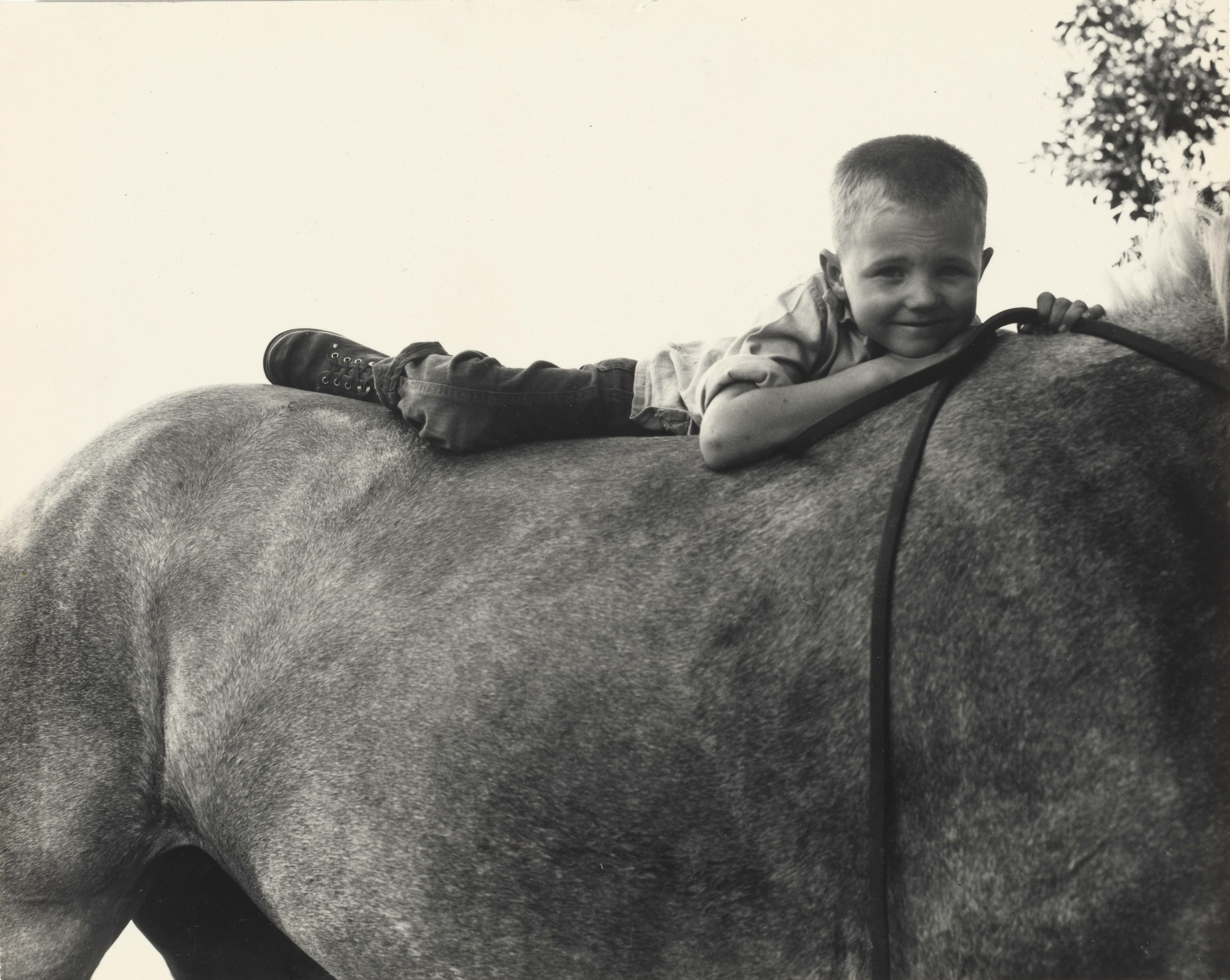 Dorothea Lange. Gunlock, Utah. 1953. Gelatin silver print. Purchase. Photo: John Wronn